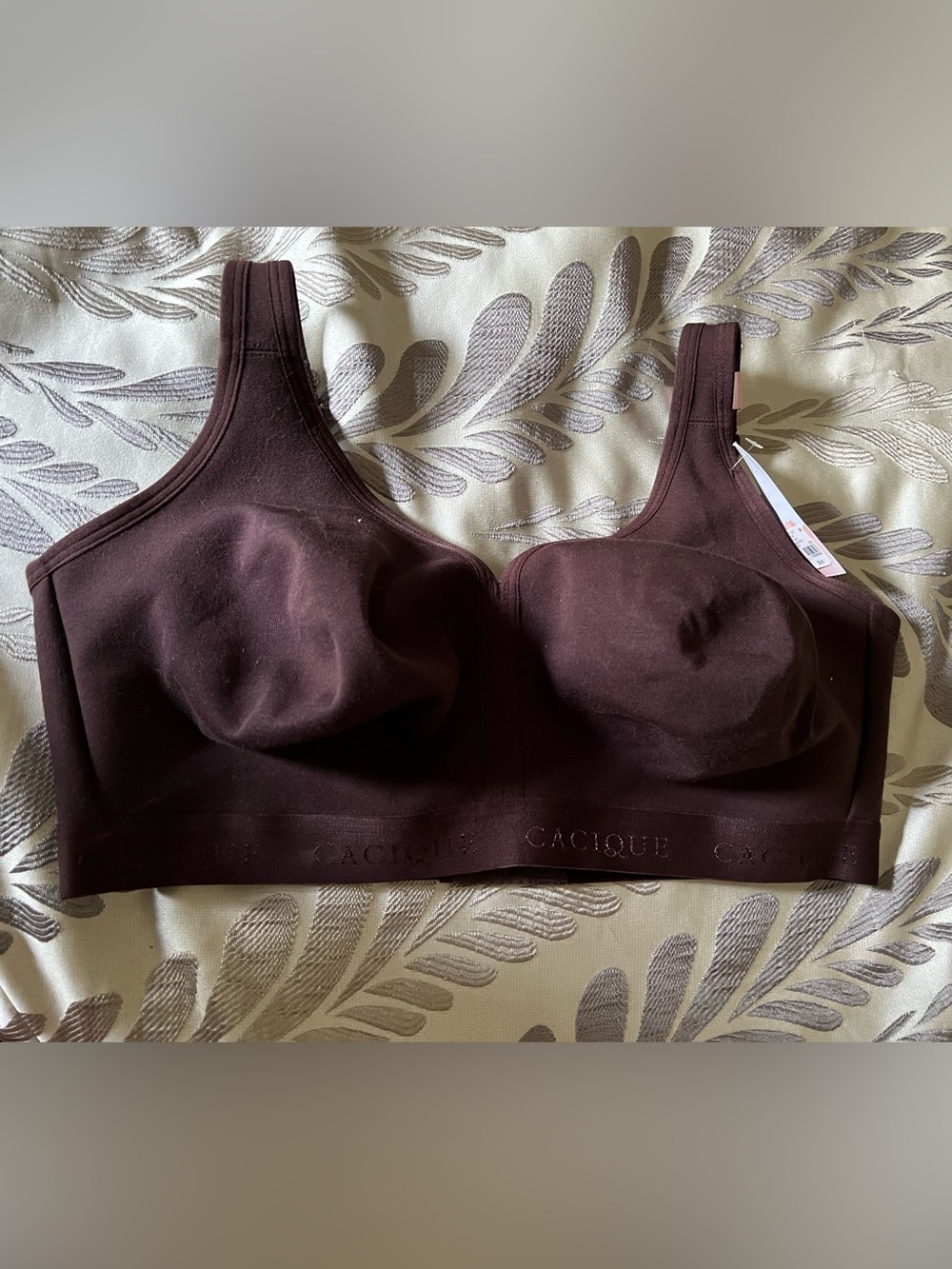 Cacique Wireless Comfort Bra in Dark Brown